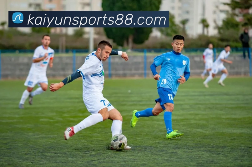 开云体育平台生态图