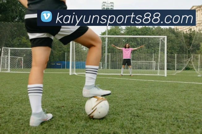 开云体育APP 封面图